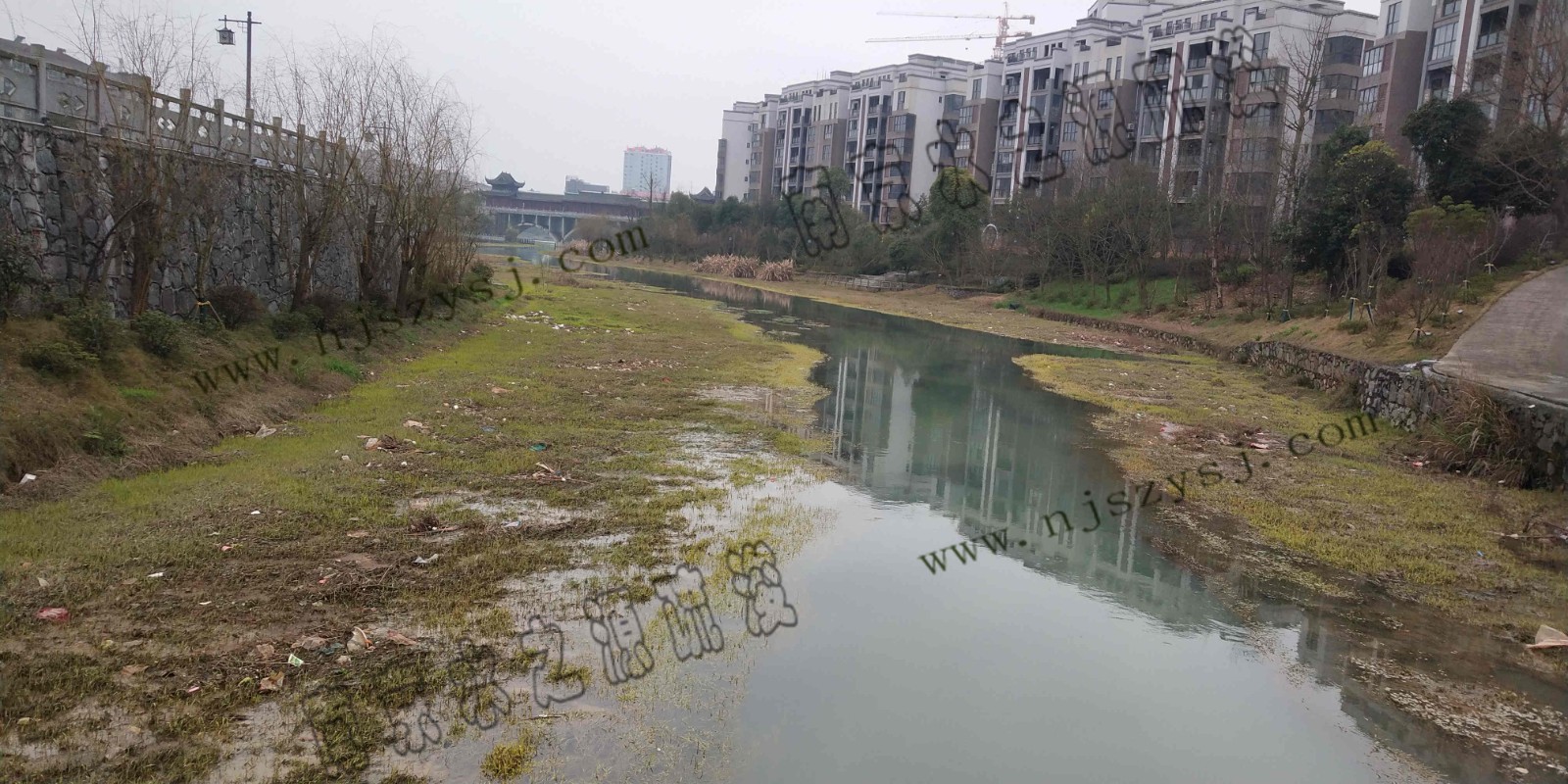 相思湖上游3.jpg 相思湖上游3.jpg