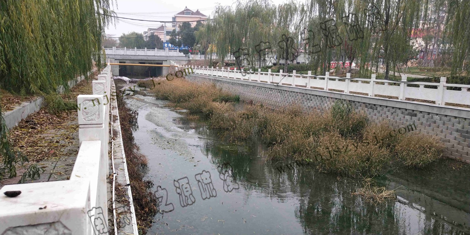 河道终点5.jpg 河道终点5.jpg