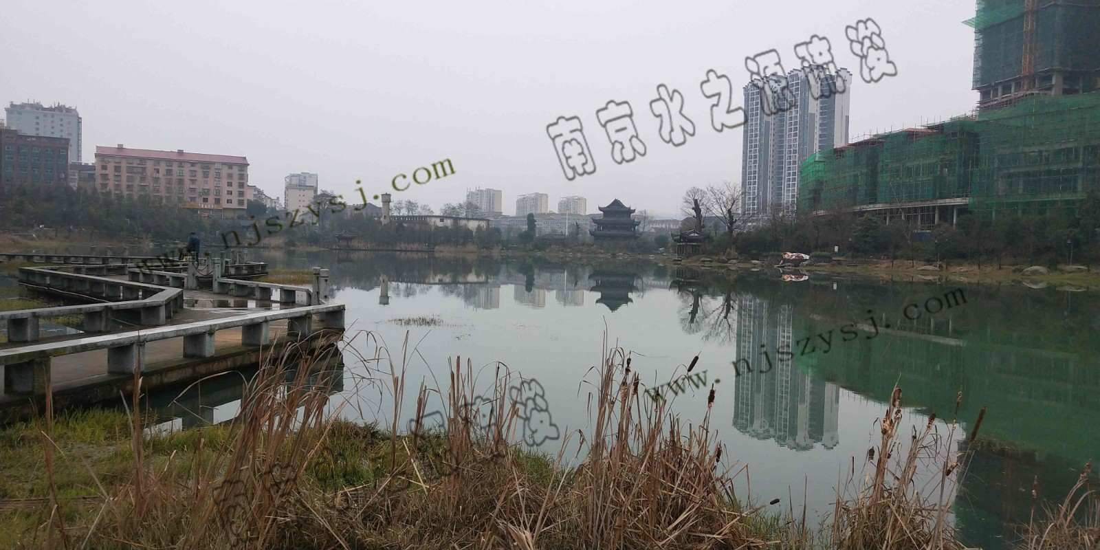 相思湖中游5.jpg 相思湖中游5.jpg