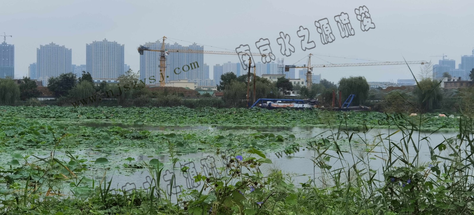 青年湖东湖2.jpg 青年湖东湖2.jpg